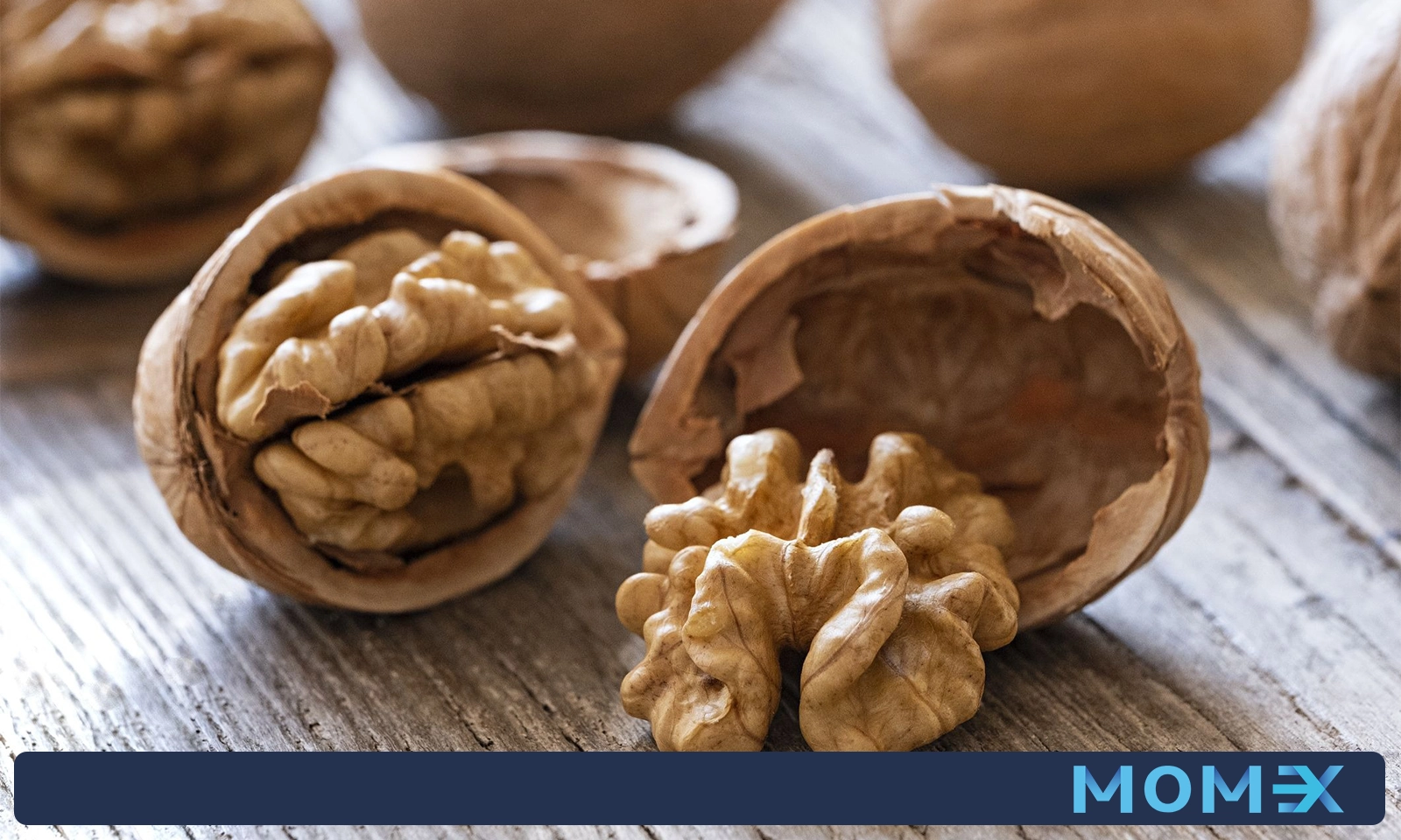 نحوه واردات گردو از چین به ایران