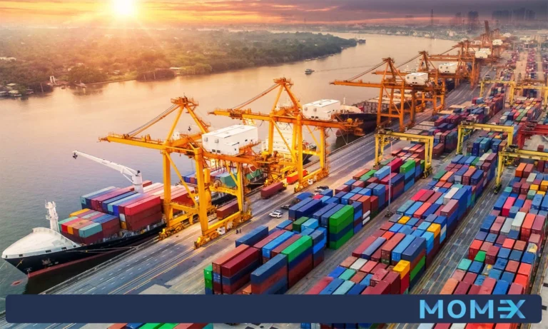 نکات مهم واردات و صادرات برای مبتدیان