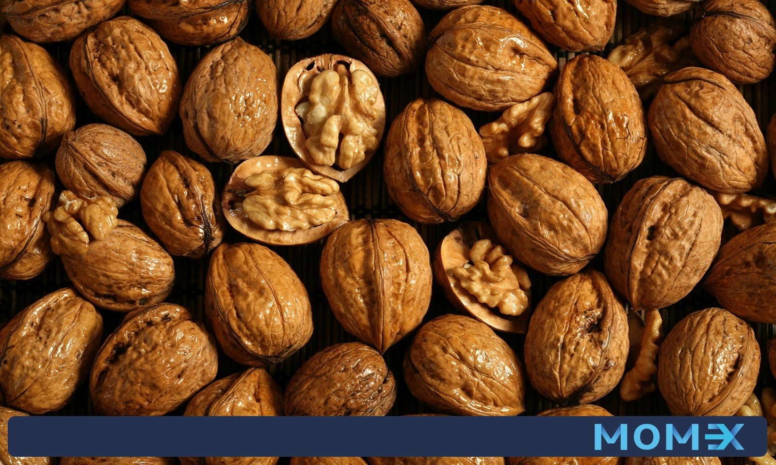 واردات گردو چینی با مومکس