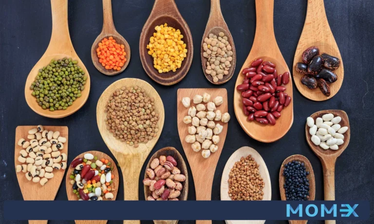 واردات حبوبات از دبی