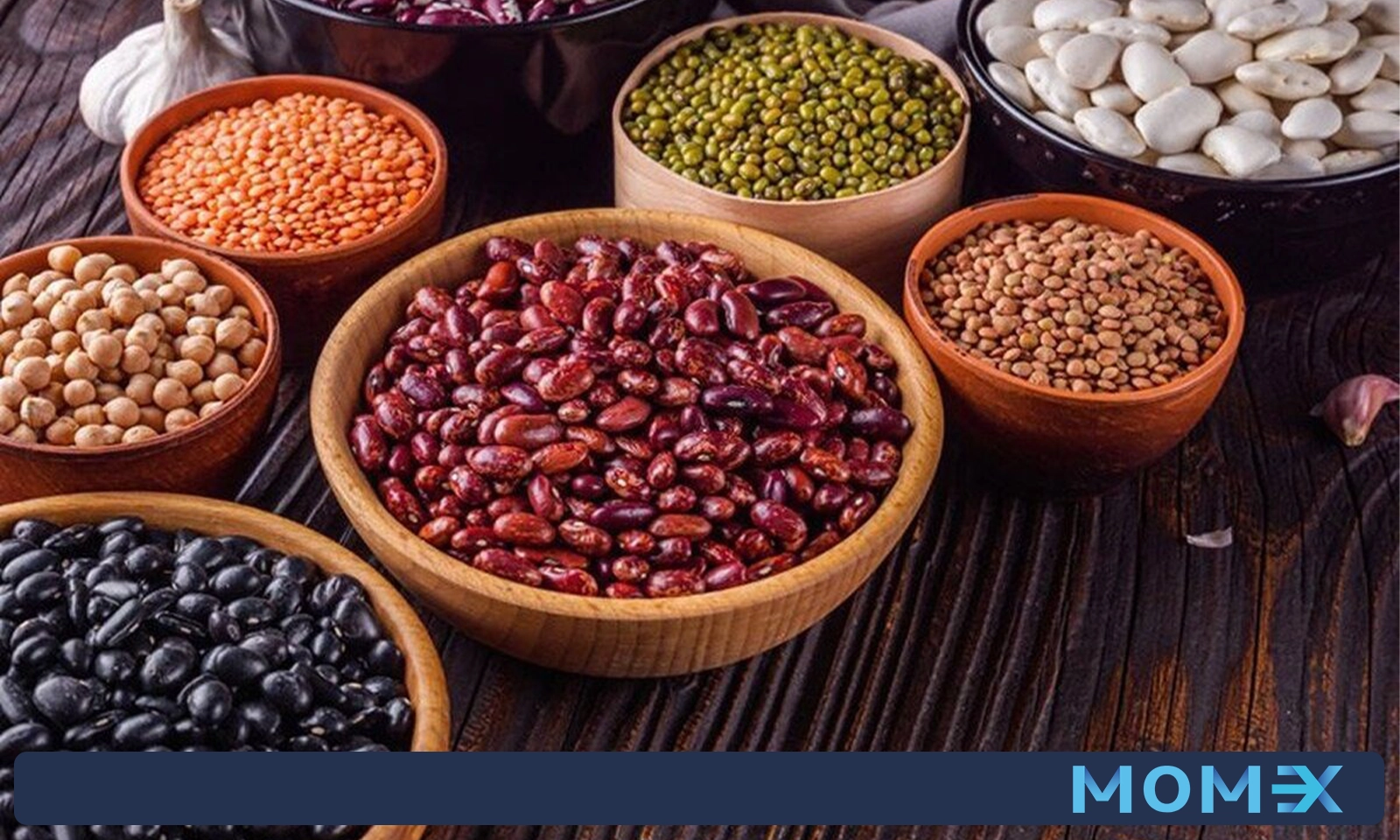 واردات حبوبات از دبی با مومکس