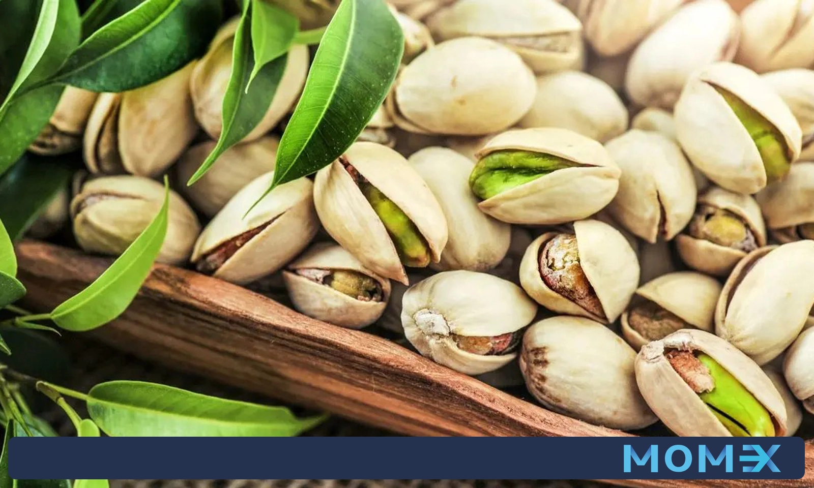 مراحل صادرات پسته به دبی