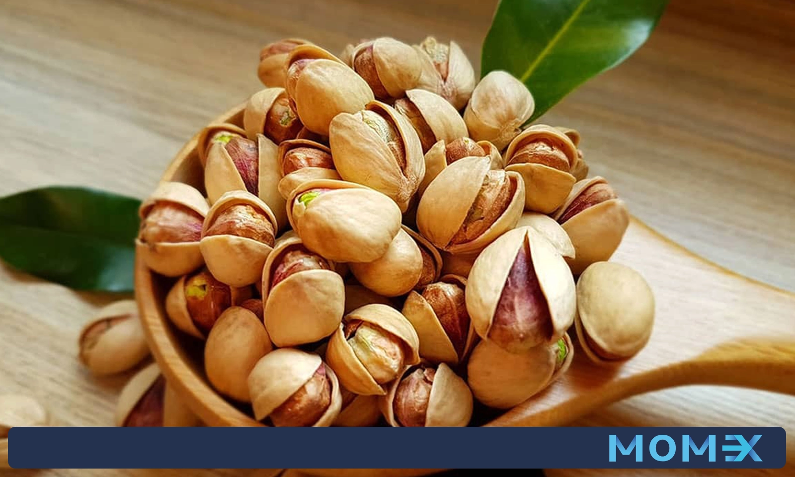 مزایای صادرات پسته به دبی‌