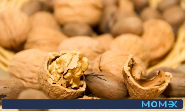 فروش عمده گردو چینی
