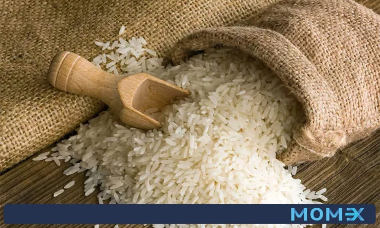 راهنمای جامع واردات برنج پاکستانی