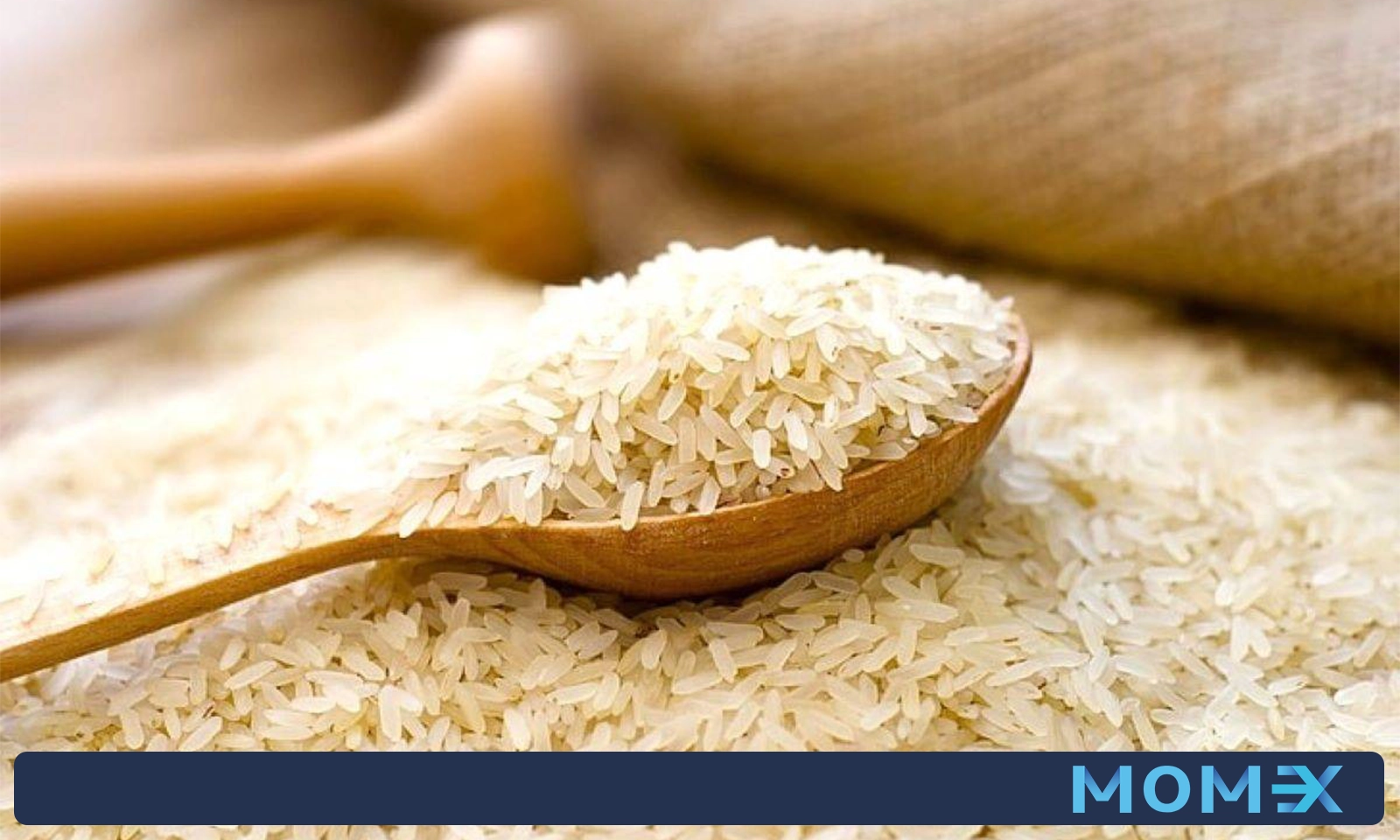آماده‌سازی و بسته‌بندی محصول
