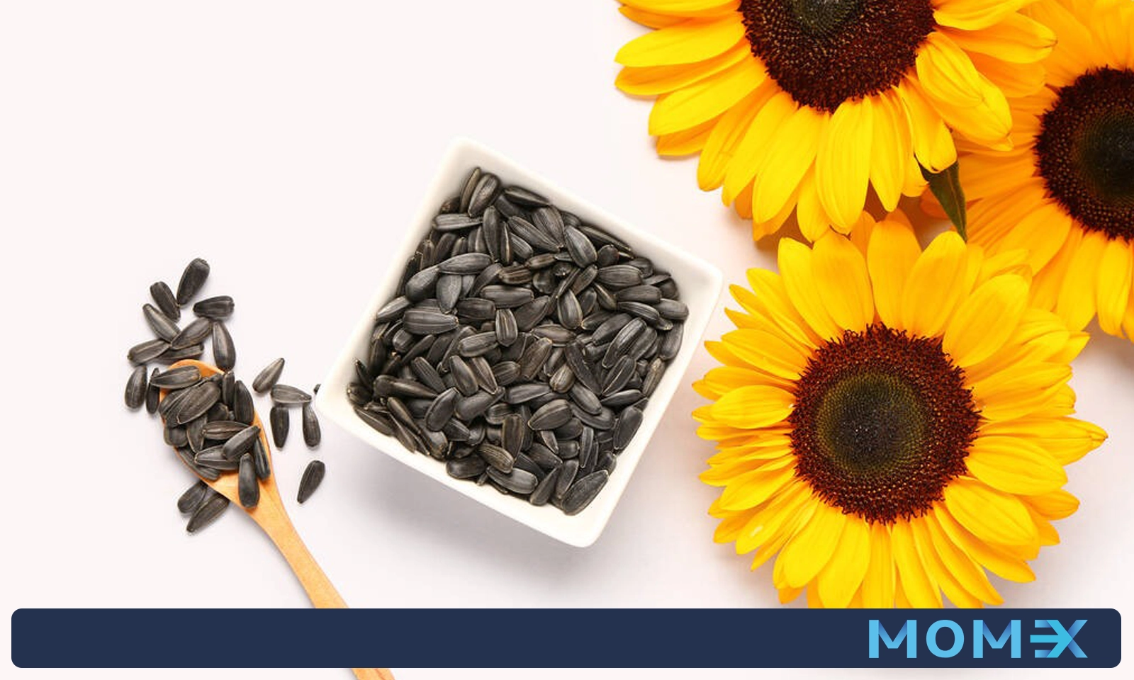 بهترین کشورها برای صادرات تخمه آفتاب گردان